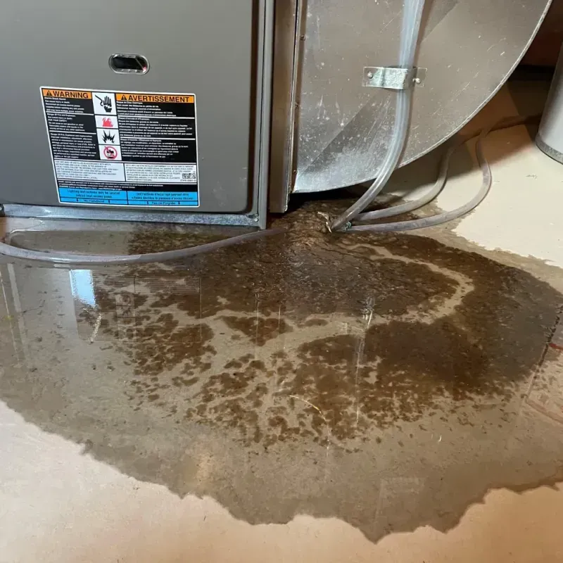 Appliance Leak Cleanup in Raymore, MO